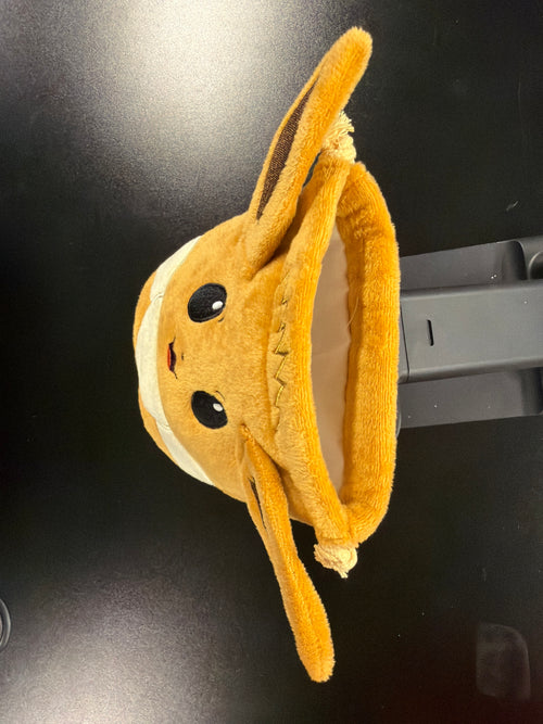 Eevee Pouch