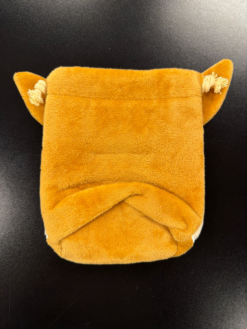 Eevee Pouch